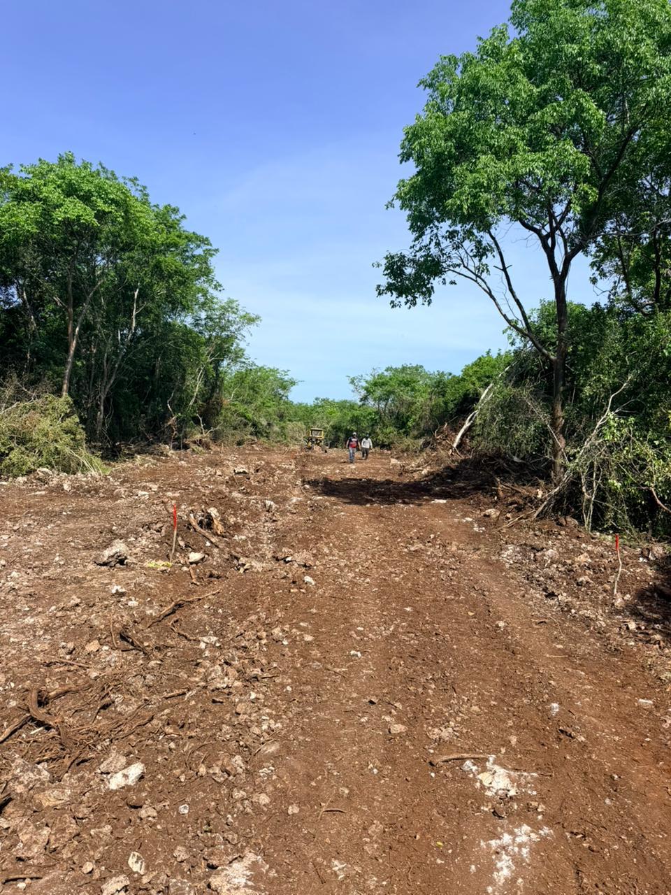 Camino de terracería abierto en el terreno de Chunmul