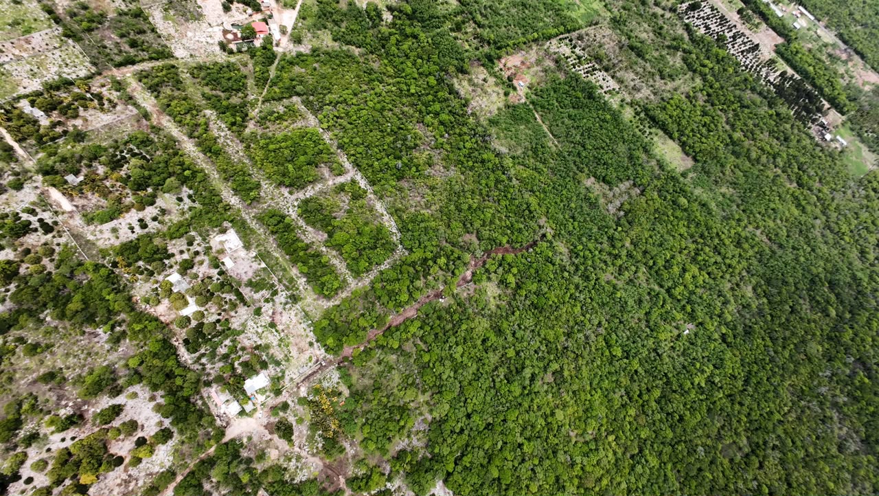 Vista aérea del terreno en Hunucmá, Yucatán